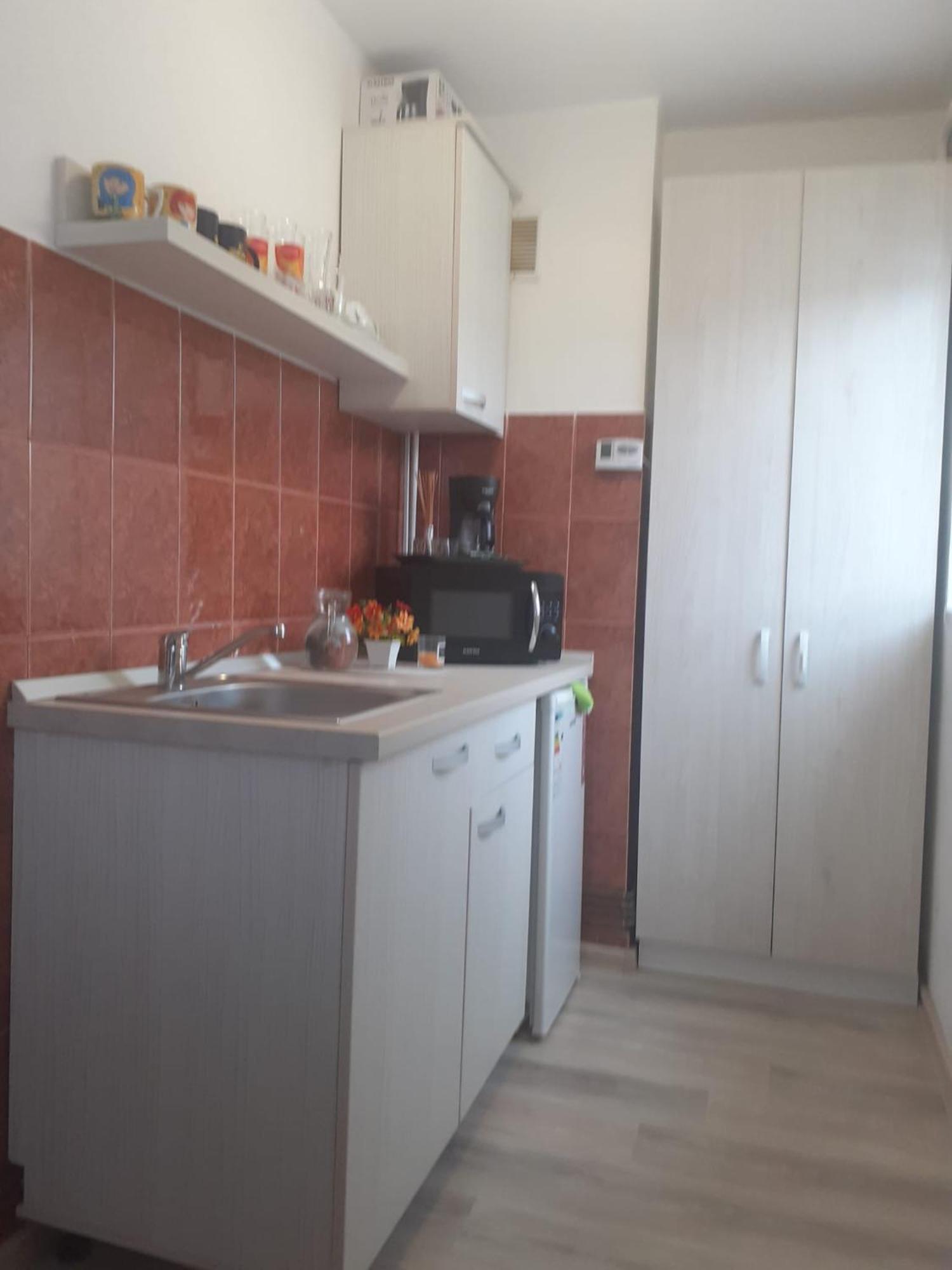 Studio Ultracentral Cu Balcon Онешть Екстер'єр фото